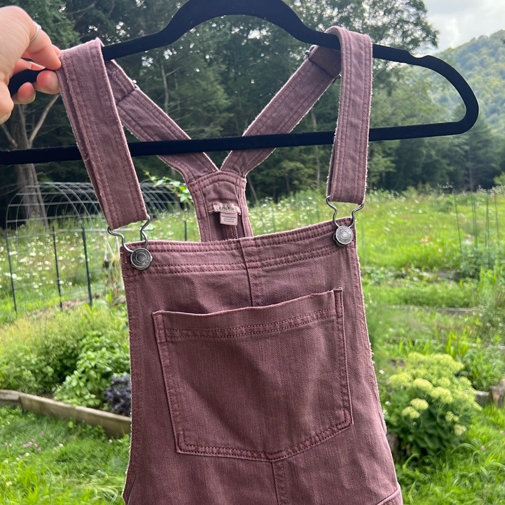 Aerie Overalls